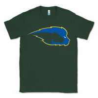 Sports Green hofstra pride Classic Tee - linhVisuals