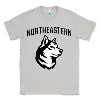 Moon Dust northeastern huskies Classic Tee - linhVisuals