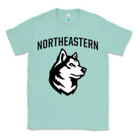 Seafoam northeastern huskies Classic Tee - linhVisuals