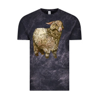 Cloud Black Angora Goat Vintage Tee - LillyAllenDesigns