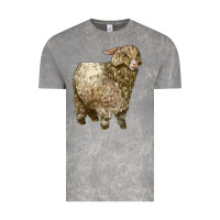 Cloud Rock Angora Goat Vintage Tee - LillyAllenDesigns