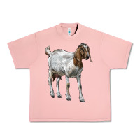 Salmon Boer Goat Urban Heavy Tee - LillyAllenDesigns