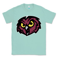 Seafoam temple owls Classic Tee - linhVisuals