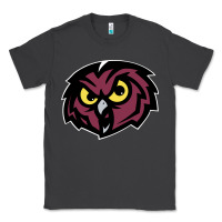 Smoke temple owls Classic Tee - linhVisuals