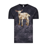 Baby Saanen Goat Vintage Tee | Teevron