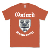 Copper vintage oxford university 80s 90s Classic Tee - linhVisuals