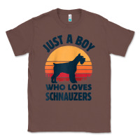Chestnut schnauzer just a boy who loves dogs men retro vintage sunset raglan ba Classic Tee - linhVisuals