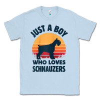 Dusty Blue schnauzer just a boy who loves dogs men retro vintage sunset raglan ba Classic Tee - linhVisuals