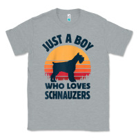 Heather Grey schnauzer just a boy who loves dogs men retro vintage sunset raglan ba Classic Tee - linhVisuals