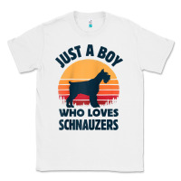 Schnauzer Just A Boy Who Loves Dogs Men Retro Vintage Sunset Raglan Ba Classic Tee | Teevron