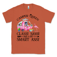 Copper newcamper queen classy sassy and a bit smart assy Classic Tee - linhVisuals