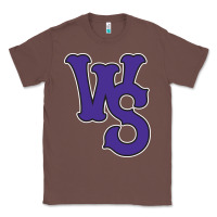 Chestnut winston-salem-dash Classic Tee - linhVisuals
