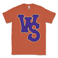 Copper winston-salem-dash Classic Tee - linhVisuals