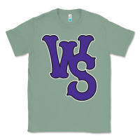 Sage winston-salem-dash Classic Tee - linhVisuals
