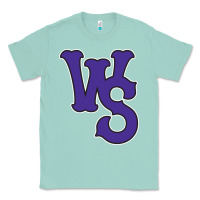 Seafoam winston-salem-dash Classic Tee - linhVisuals