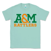 Seafoam florida a&m rattlers Classic Tee - linhVisuals