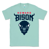 Seafoam howard bison Classic Tee - linhVisuals