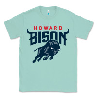 Seafoam howard bison Classic Tee - linhVisuals