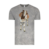 Cloud Rock boer goat Vintage Tee - LillyAllenDesigns