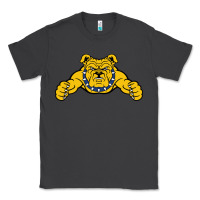 Smoke north carolina a&t aggies Classic Tee - linhVisuals