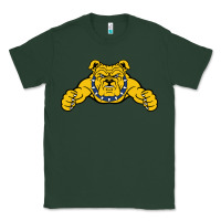 North Carolina A&t Aggies Classic Tee | Teevron