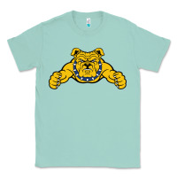 Seafoam north carolina a&t aggies Classic Tee - linhVisuals