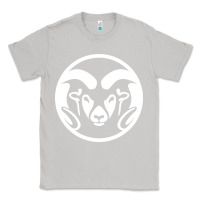 Moon Dust colorado state rams Classic Tee - linhVisuals