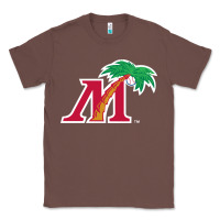 Chestnut fort myers miracle Classic Tee - linhVisuals
