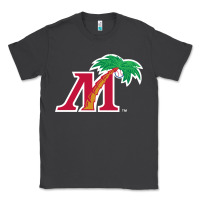 Smoke fort myers miracle Classic Tee - linhVisuals