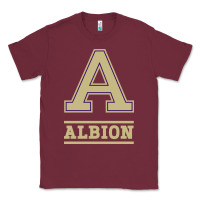 Burgundy albion college athleticpurple Classic Tee - linhVisuals