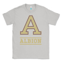 Moon Dust albion college athleticpurple Classic Tee - linhVisuals