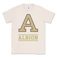 Natural albion college athleticpurple Classic Tee - linhVisuals