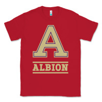 Red albion college athleticpurple Classic Tee - linhVisuals