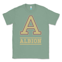 Sage albion college athleticpurple Classic Tee - linhVisuals