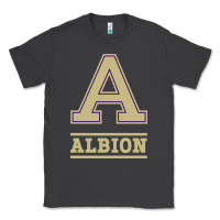 Smoke albion college athleticpurple Classic Tee - linhVisuals