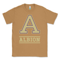 Toasted Coconut albion college athleticpurple Classic Tee - linhVisuals