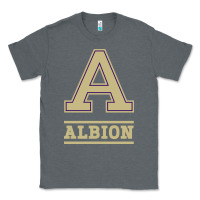 Charcoal Heather albion college athleticpurple Classic Tee - linhVisuals