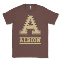 Chestnut albion college athleticpurple Classic Tee - linhVisuals