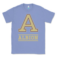 Colony Blue albion college athleticpurple Classic Tee - linhVisuals
