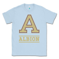 Dusty Blue albion college athleticpurple Classic Tee - linhVisuals