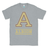 Heather Grey albion college athleticpurple Classic Tee - linhVisuals