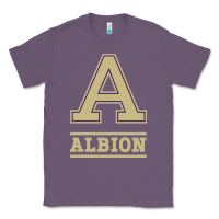 Lavender albion college athleticpurple Classic Tee - linhVisuals