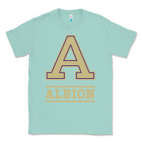Seafoam albion college athleticpurple Classic Tee - linhVisuals