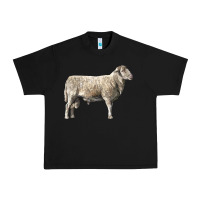 Black katahdin sheep Urban Heavy Tee - LillyAllenDesigns