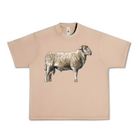 Burro katahdin sheep Urban Heavy Tee - LillyAllenDesigns