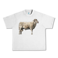 Lunar Rock katahdin sheep Urban Heavy Tee - LillyAllenDesigns