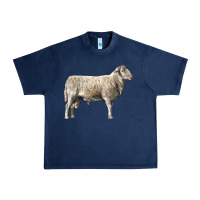 Navy katahdin sheep Urban Heavy Tee - LillyAllenDesigns