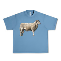 Pebble Blue katahdin sheep Urban Heavy Tee - LillyAllenDesigns