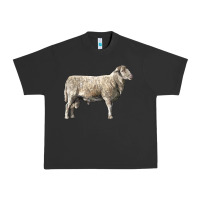 Pigment Black katahdin sheep Urban Heavy Tee - LillyAllenDesigns