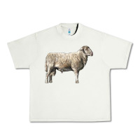 Pistachio katahdin sheep Urban Heavy Tee - LillyAllenDesigns